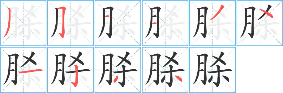 脎字笔顺写法