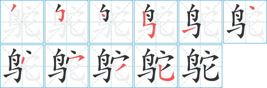 鸵字笔顺写法