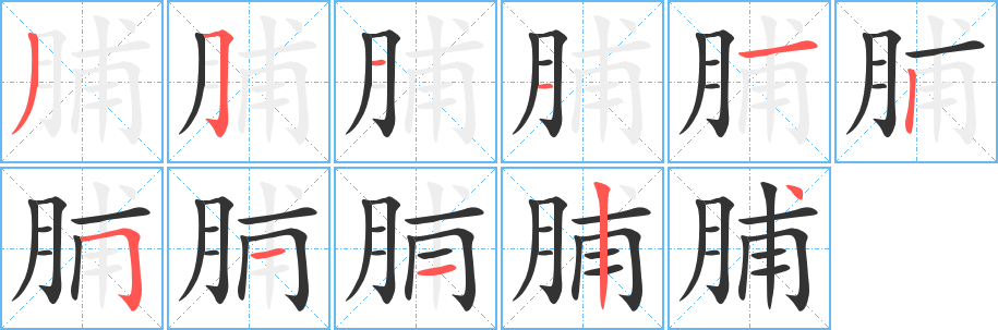 脯字笔顺写法