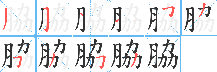 脇字笔顺写法