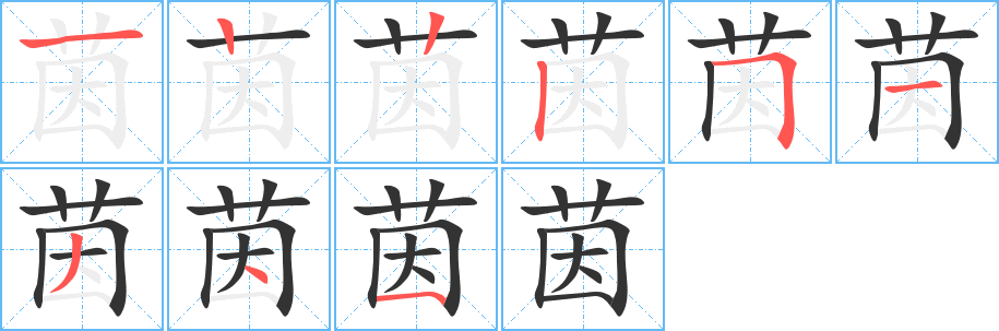 茵字笔顺写法