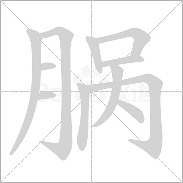 脶字笔顺动画