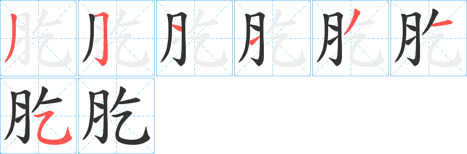 肐字笔顺写法