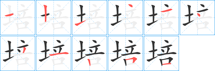 培字笔顺写法