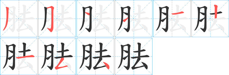 胠字笔顺写法