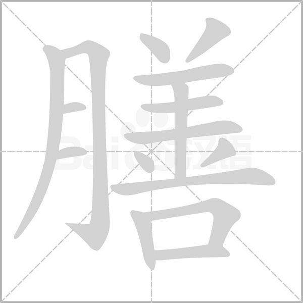 膳字笔顺动画