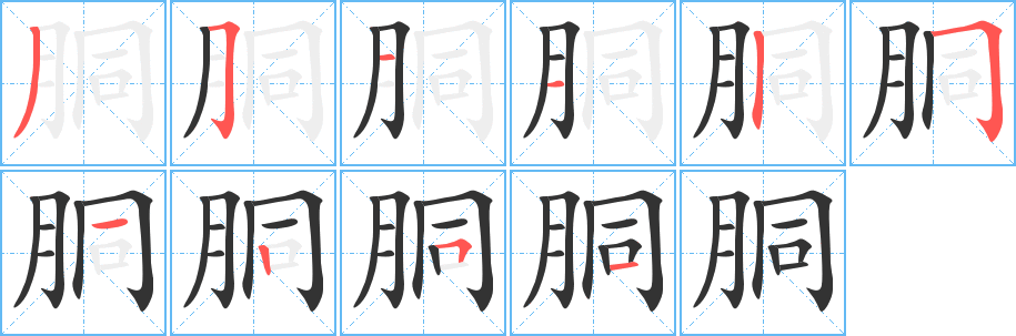 胴字笔顺写法
