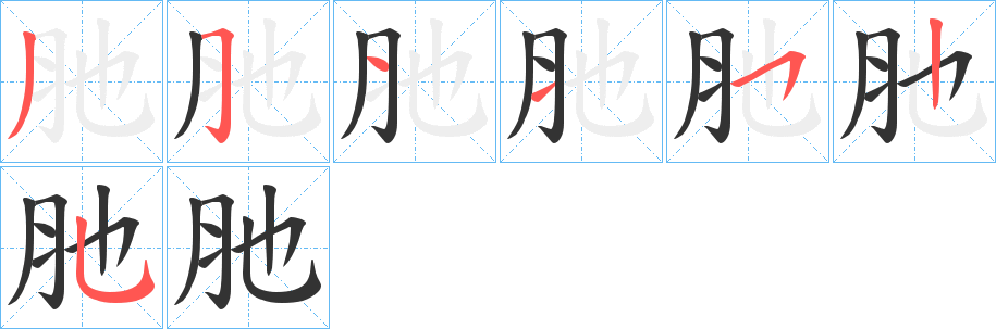 肔字笔顺写法