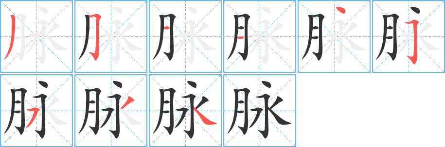 脉字笔顺写法