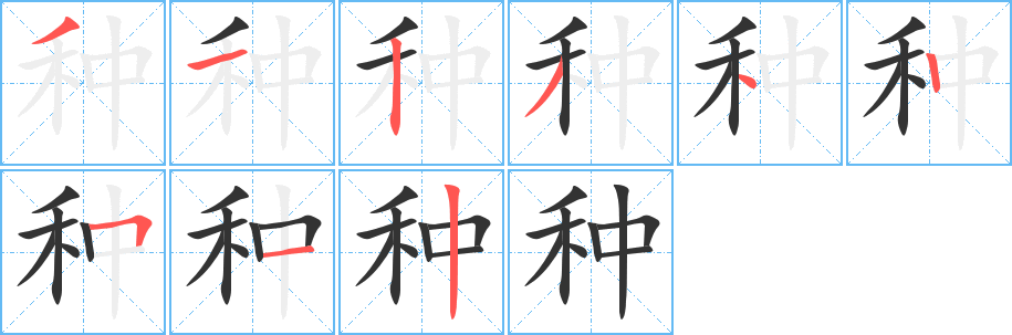 种字笔顺写法