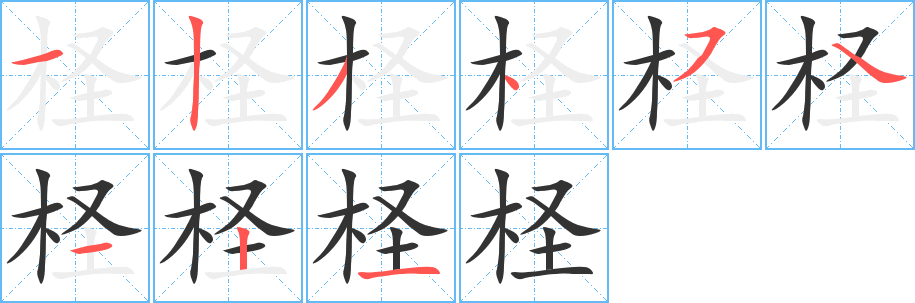 柽字笔顺写法