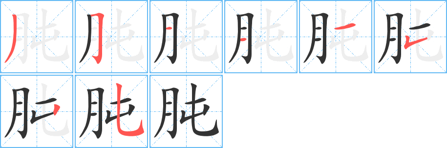 肫字笔顺写法