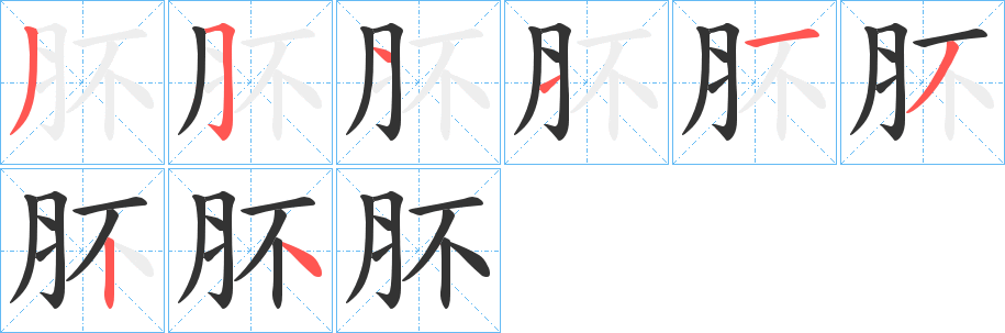 肧字笔顺写法