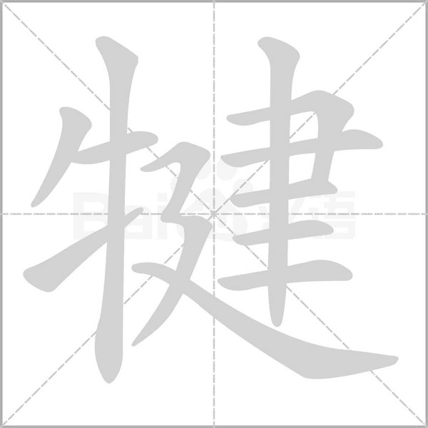 犍字笔顺动画