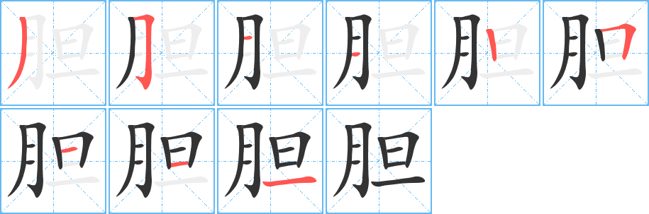 胆字笔顺写法