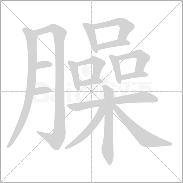 臊字笔顺动画