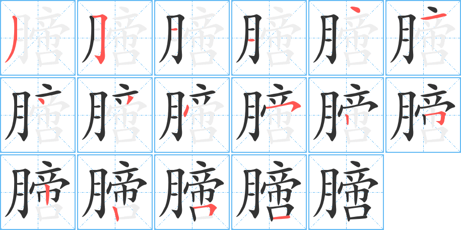 膪字笔顺写法