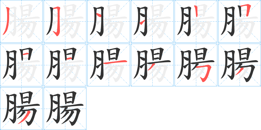 腸字笔顺写法