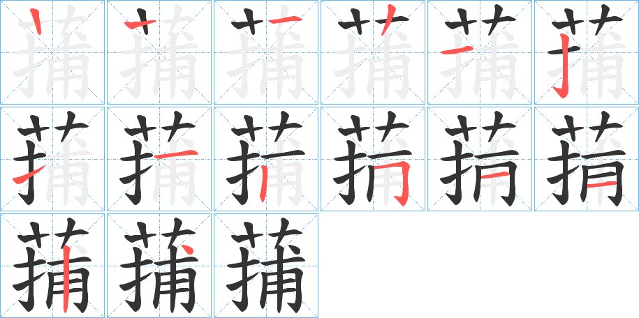蒱字笔顺写法