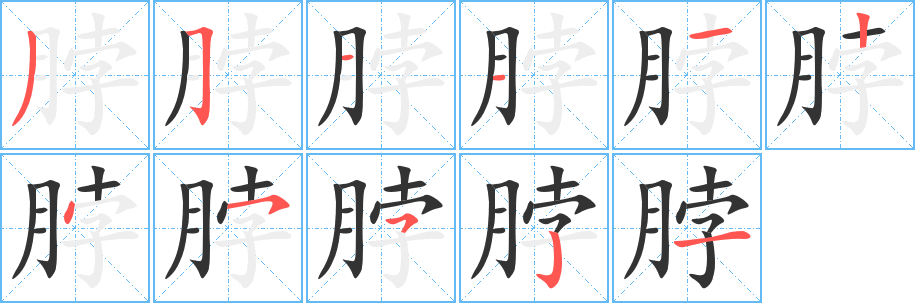 脖字笔顺写法
