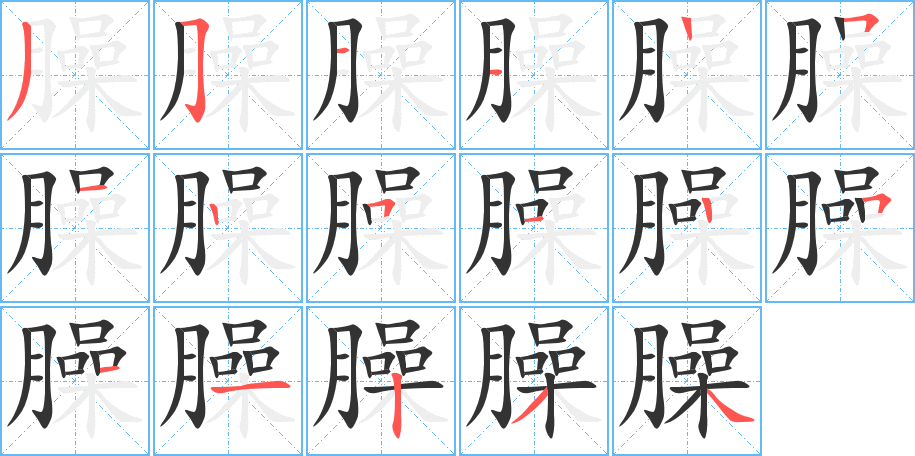 臊字笔顺写法