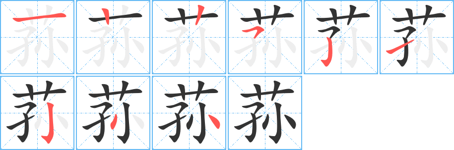 荪字笔顺写法