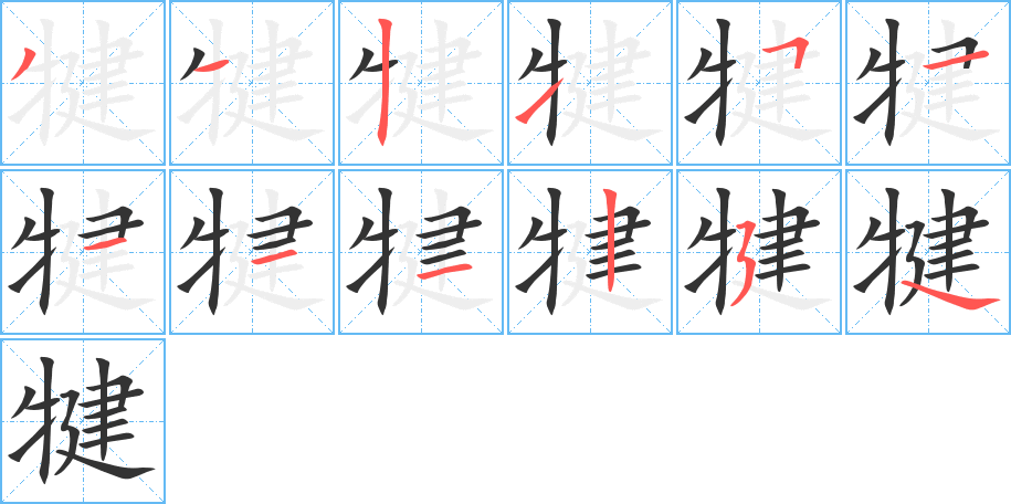 犍字笔顺写法