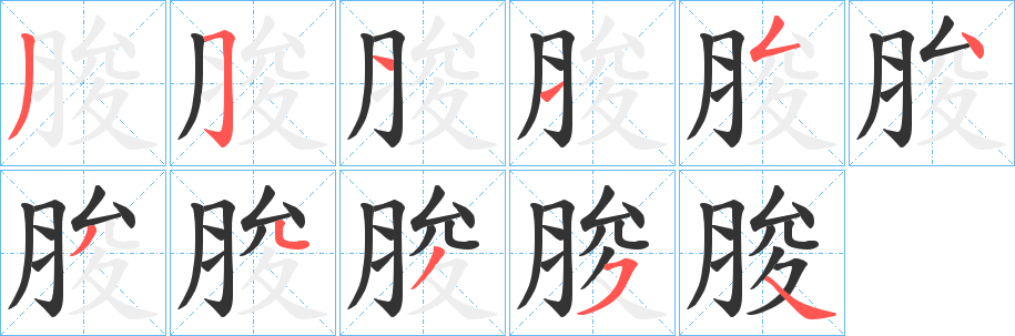 脧字笔顺写法
