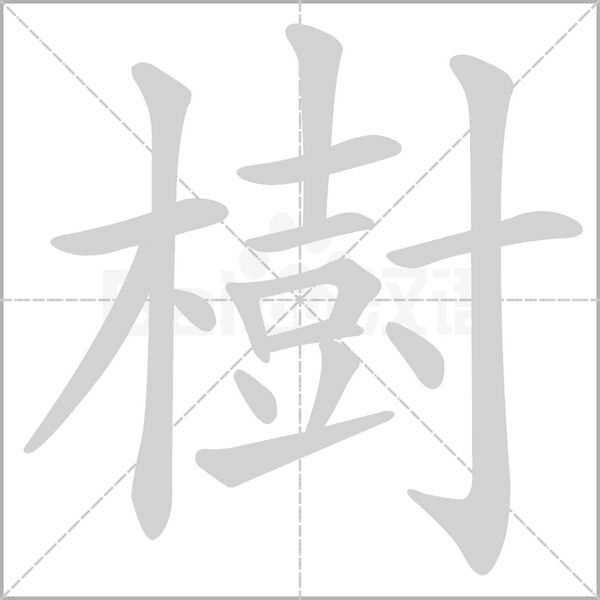 樹字笔顺动画