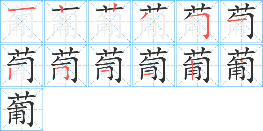 葡字笔顺写法