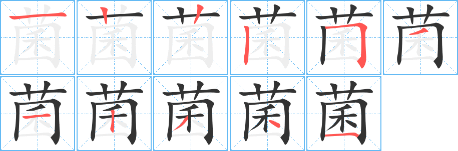 菌字笔顺写法