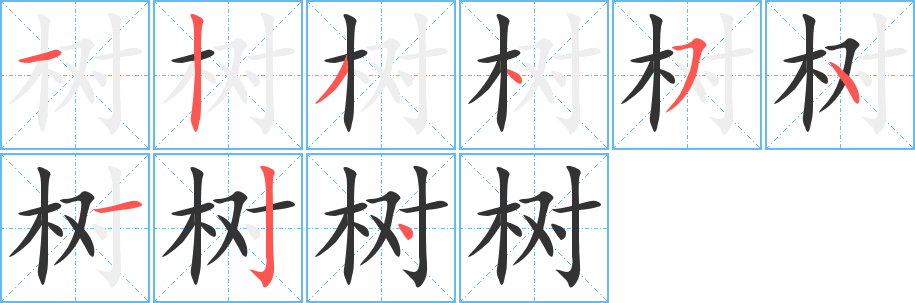 树字笔顺写法