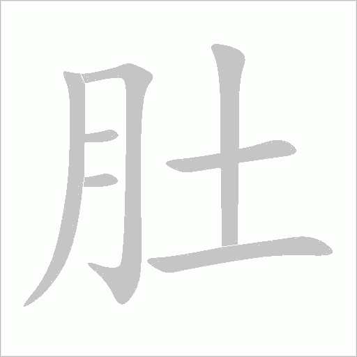 肚字笔顺动画