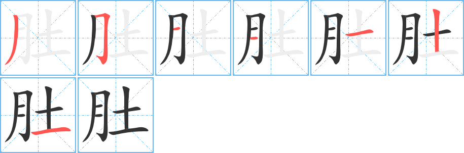 肚字笔顺写法