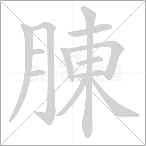 腖字笔顺动画