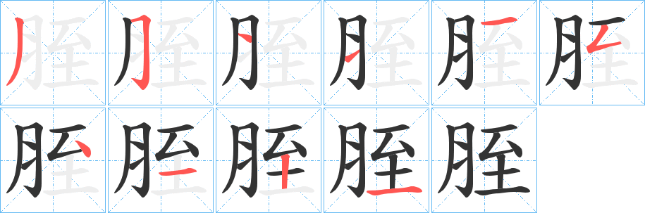胵字笔顺写法