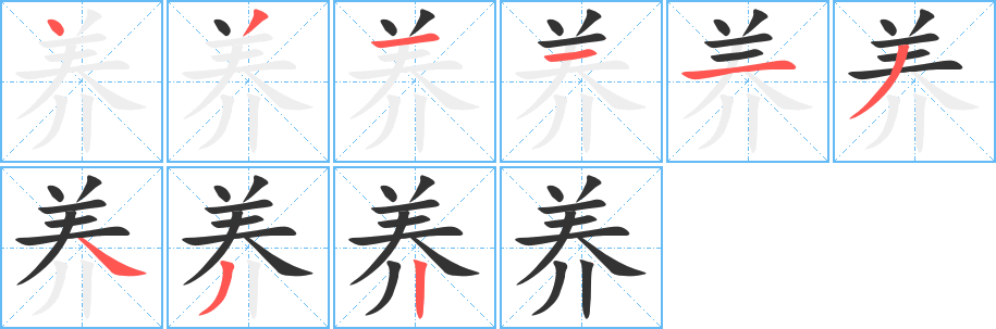 养字笔顺写法