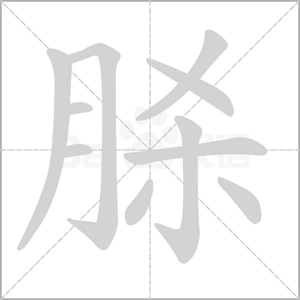 脎字笔顺动画