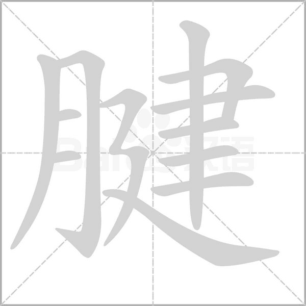 腱字笔顺动画