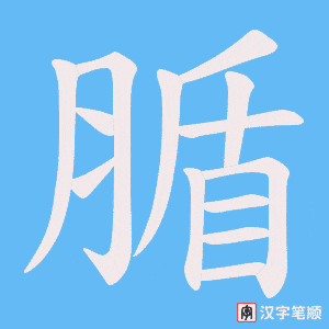 腯字笔顺动画