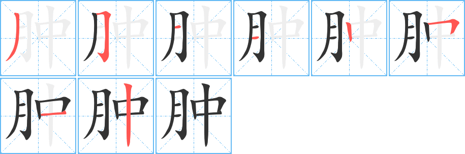 肿字笔顺写法