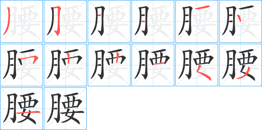 腰字笔顺写法