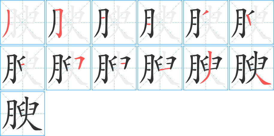 腴字笔顺写法