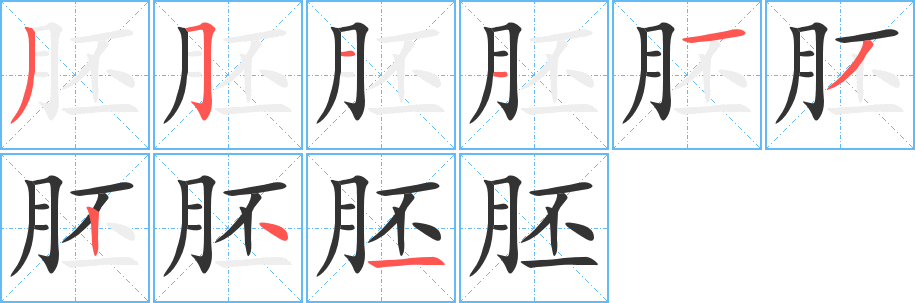 胚字笔顺写法