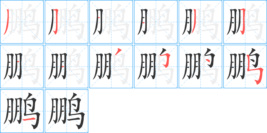 鹏字笔顺写法