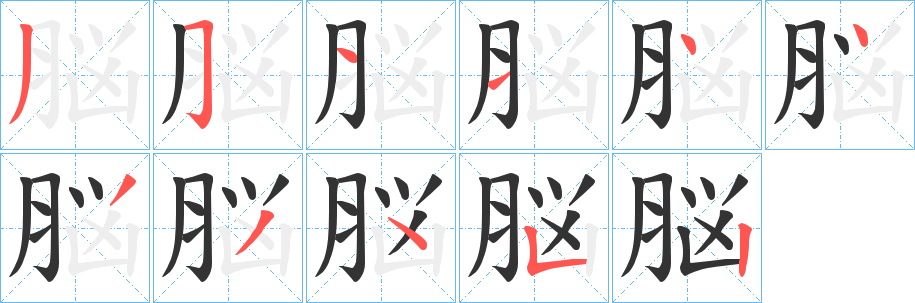 脳字笔顺写法