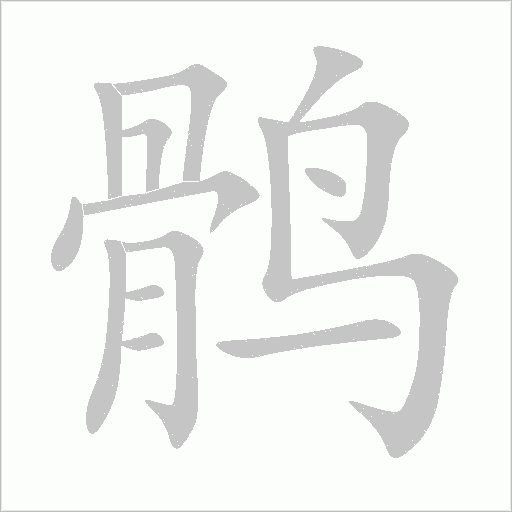 鹘字笔顺动画