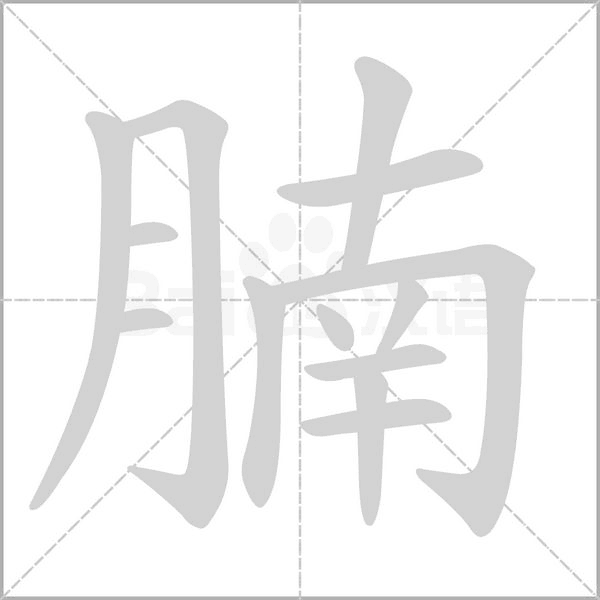 腩字笔顺动画