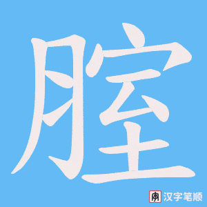 腟字笔顺动画