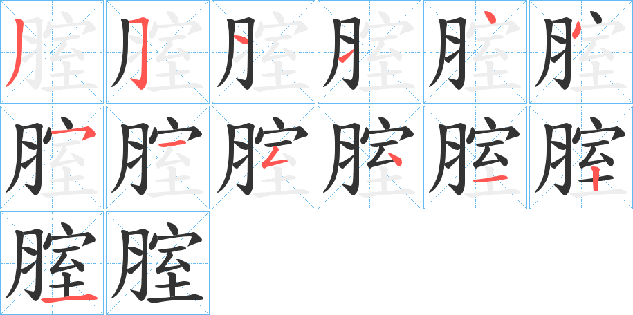 腟字笔顺写法
